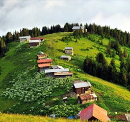 Pokut Yaylası Turu